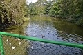 06 09 12_6381